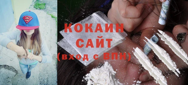 гашик Аркадак