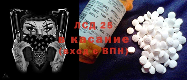 гашик Аркадак