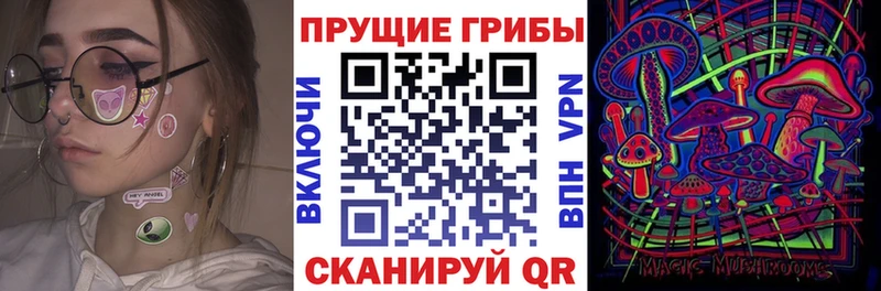 Псилоцибиновые грибы прущие грибы  дарнет шоп  гидра ссылки  Белёв 